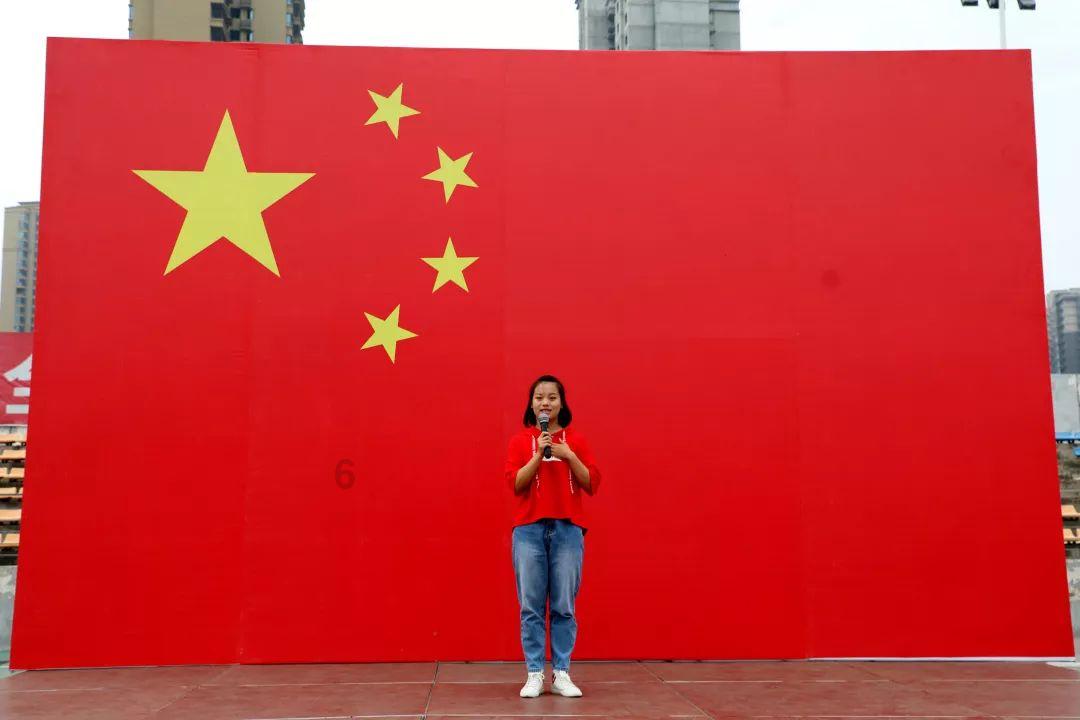 破碎的动物图形3