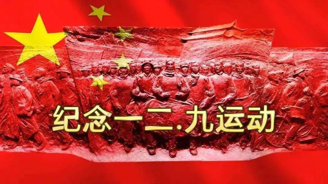 可爱的小考拉